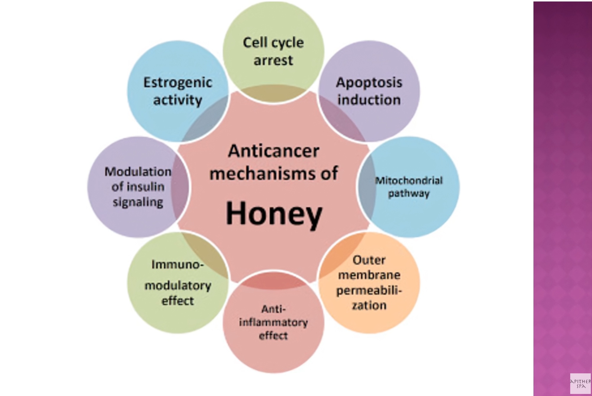 Apitherapy in oncology, does it work, Dr Zorica Plavsic, MD and ...